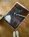 milena_milachich Altpins Profile Picture