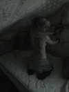 ash.onme Altpins Profile Picture