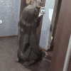metallic_smack Altpins Profile Picture