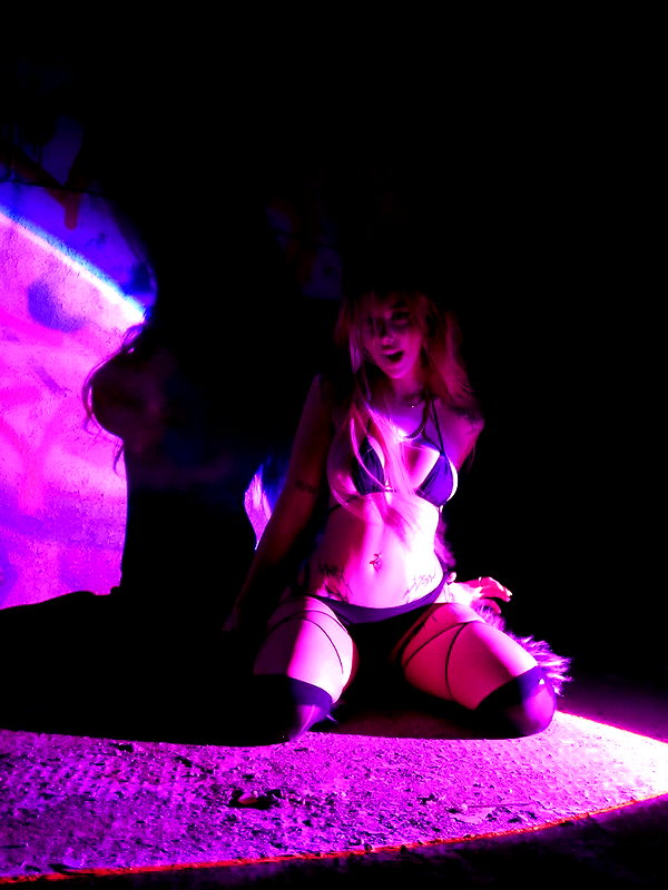 pixelpuppi instagram image archive image
