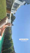 alyssa.lukens Altpins Profile Picture