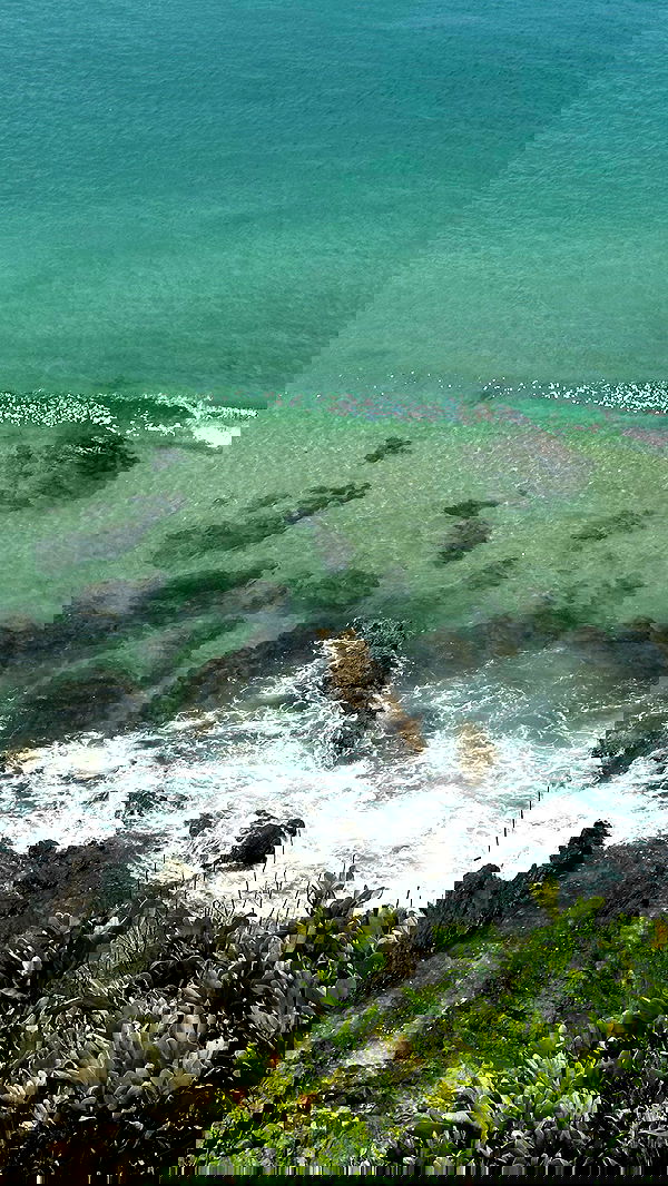 taylor.creeden taylor.creeden archive image