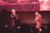 xtina Altpins Profile Picture