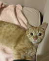 owlydiaa Altpins Profile Picture