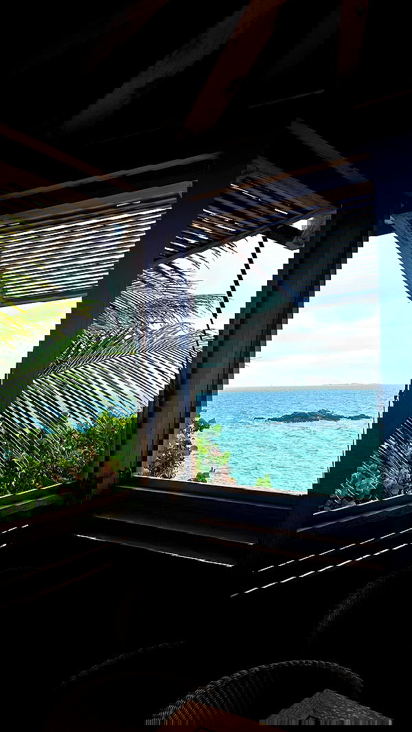 taylor.creeden taylor.creeden archive image