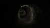 vvelum_ Altpins Profile Picture