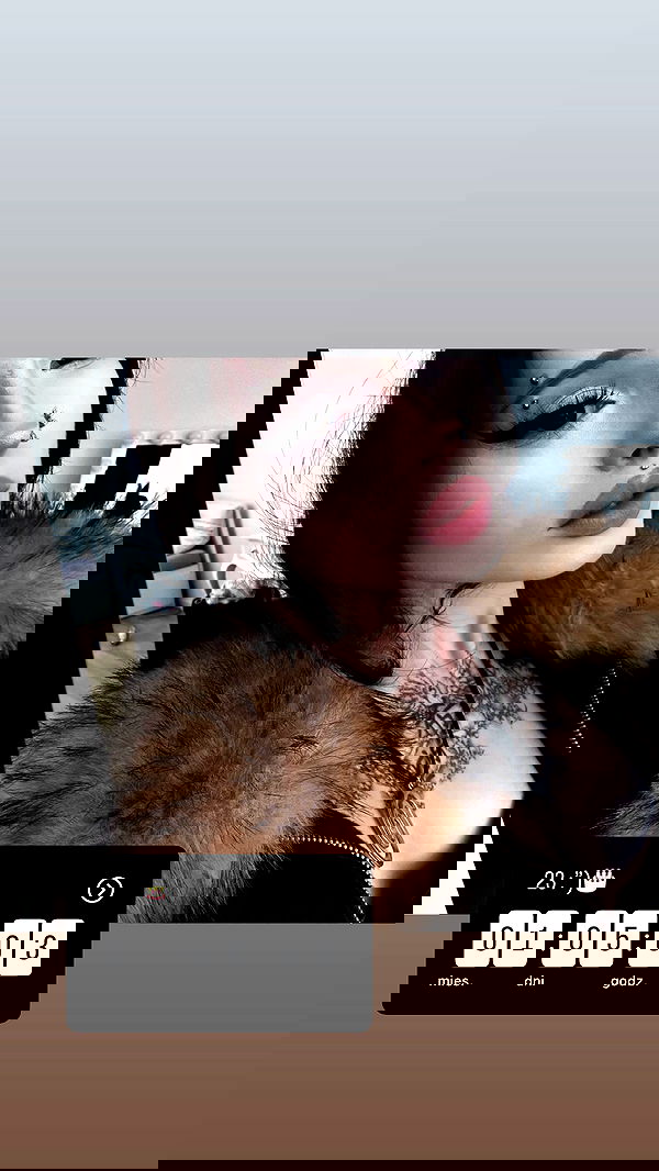 vwnrottie vwnrottie archive image