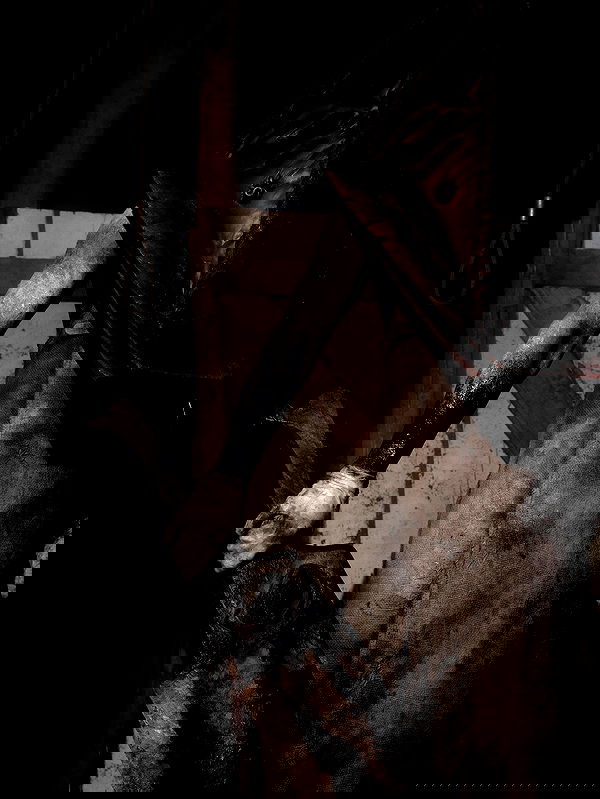 milkgore milkgore archive image