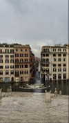 federica.piccinni Altpins Profile Picture