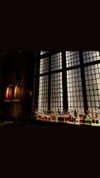 annabottoo Altpins Profile Picture