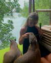 danamrts Altpins Profile Picture