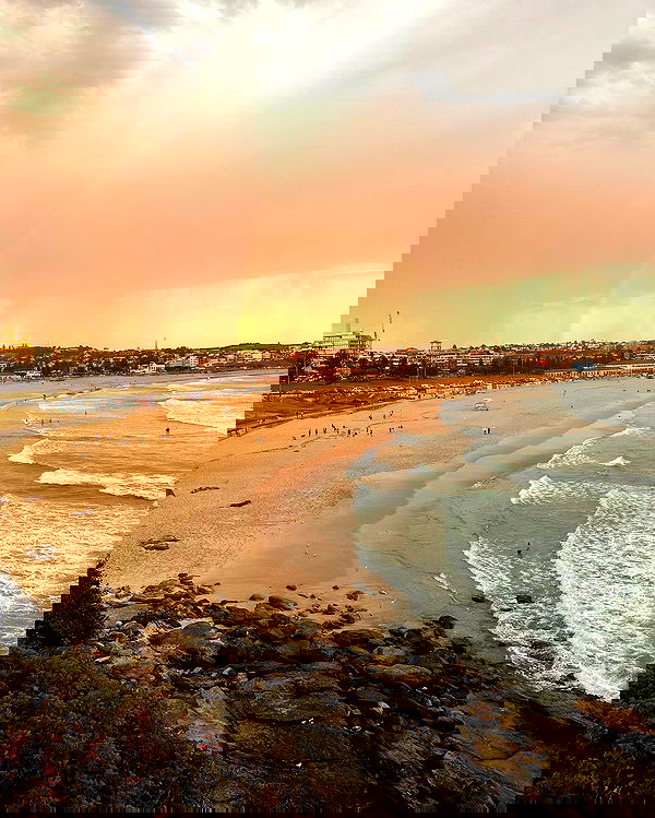 taylor.creeden taylor.creeden archive image