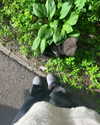 katrina.zaiceva Altpins Profile Picture