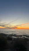 yasminhilde_ Altpins Profile Picture