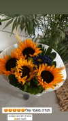 lior_levrun Altpins Profile Picture