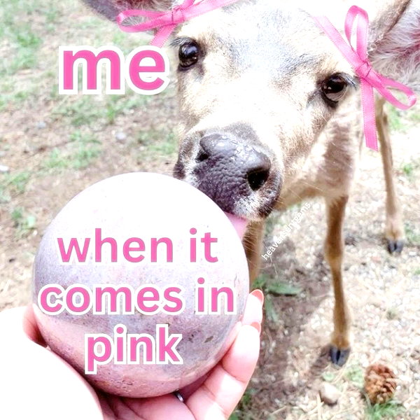 1uvgabi instagram image archive image
