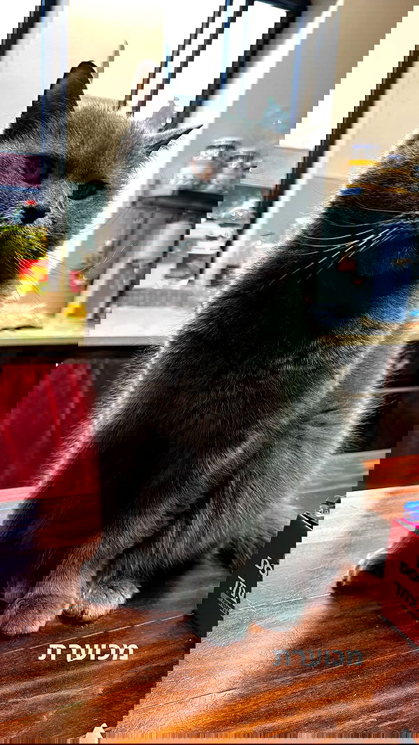 bbyerikss bbyerikss archive image