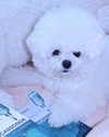 dear.zia Altpins Profile Picture