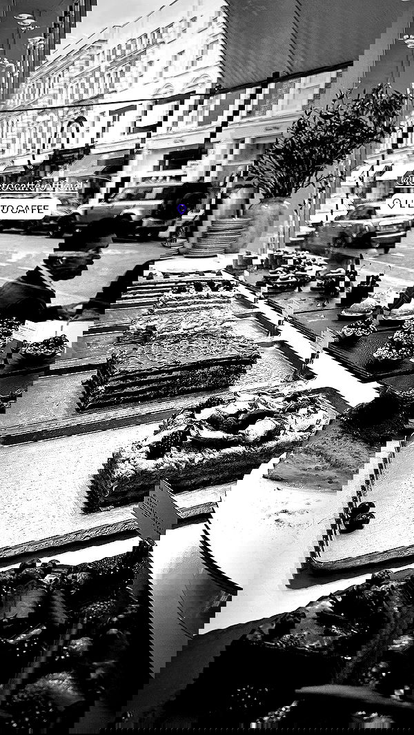 taylor.creeden taylor.creeden archive image