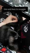 iamm3dusa Altpins Profile Picture