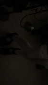 krystallea.cs Altpins Profile Picture