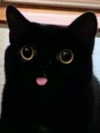 kayyybear Altpins Profile Picture