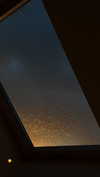 danamrts Altpins Profile Picture