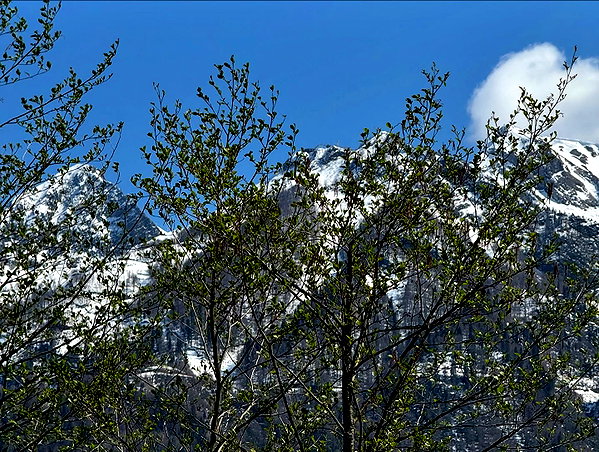 amatveyko instagram image archive image