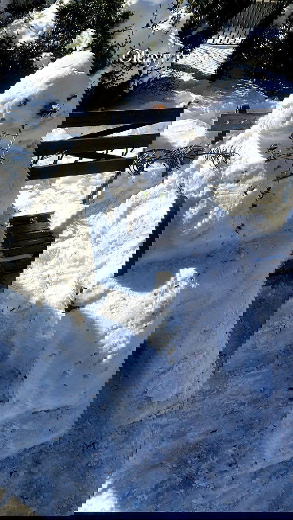 taylor.creeden taylor.creeden archive image