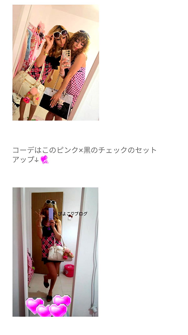 piyokoblog archive image