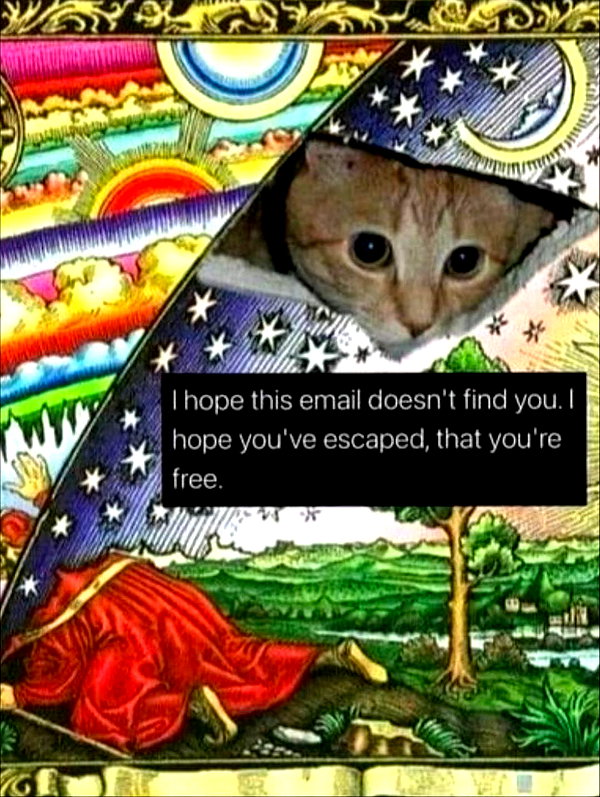 ambrzinha666 instagram image archive image