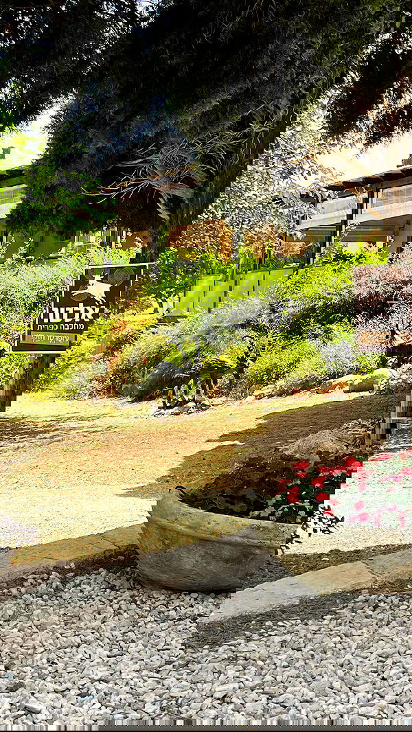 electrixjuggle electrixjuggle archive image