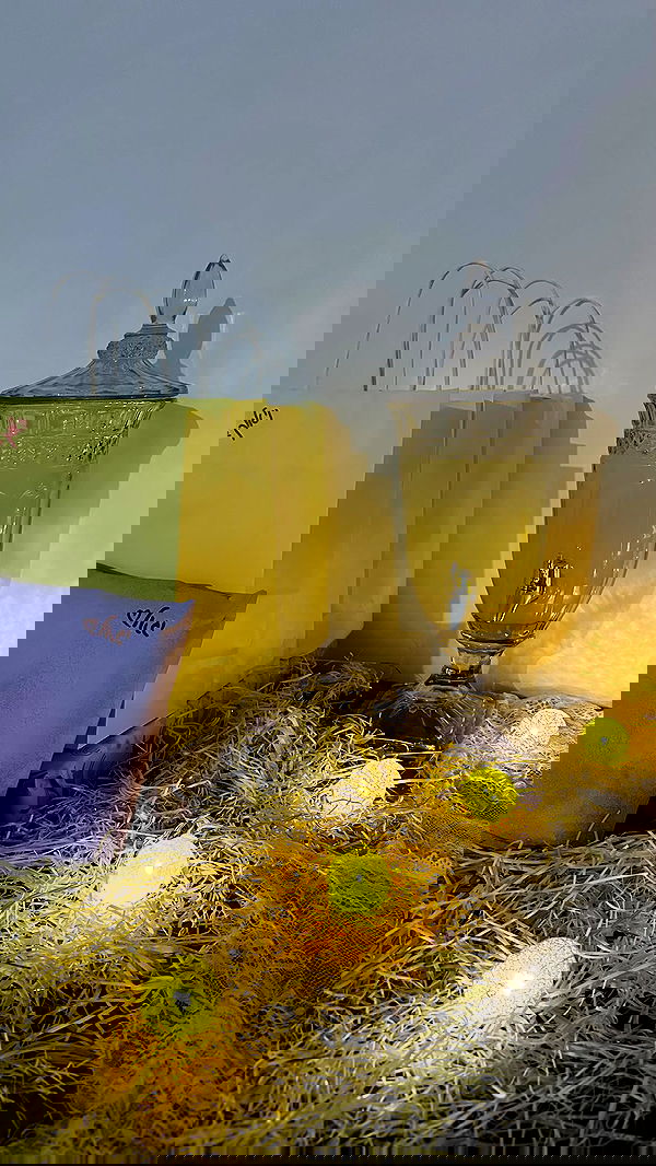 mishel116 mishel116 archive image