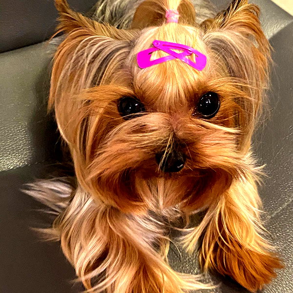 maya.keyy instagram image archive image