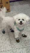 v.qx Altpins Profile Picture