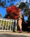 rouxroux.tv Altpins Profile Picture
