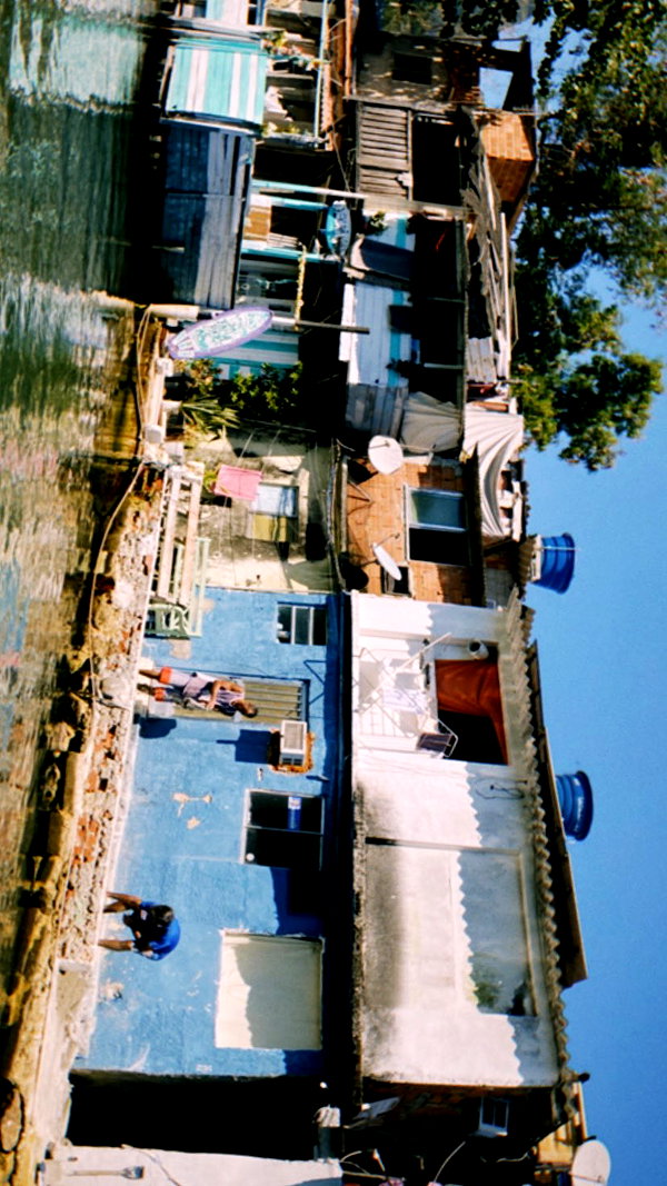 emleecordeiro instagram image archive image