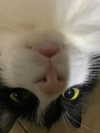 sulisssx Altpins Profile Picture