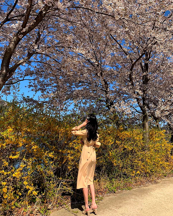 daxbin instagram image archive image