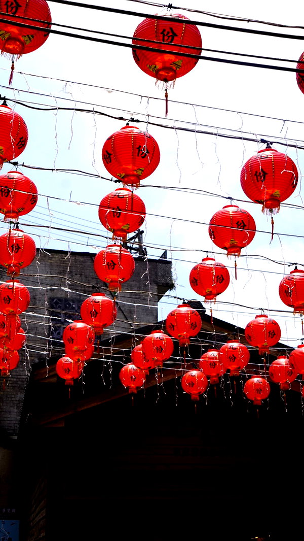 biton__adi instagram image archive image