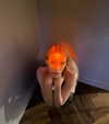 avestanova Altpins Profile Picture