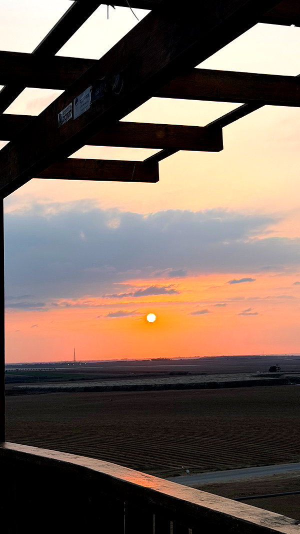 efrat_elmalich instagram image archive image
