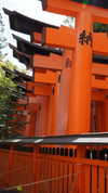 biton__adi Altpins Profile Picture
