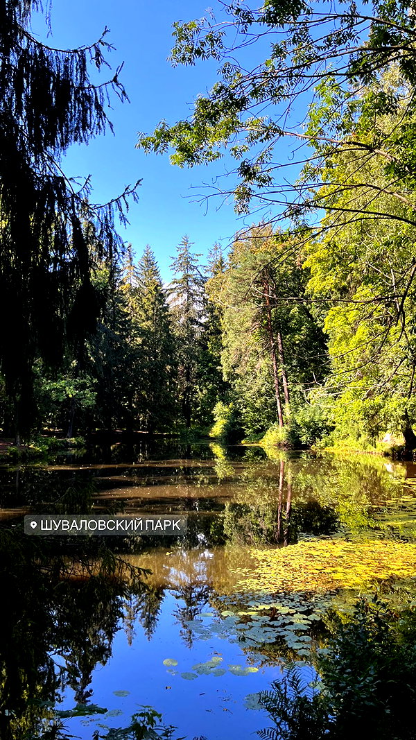nasstellaa instagram image archive image