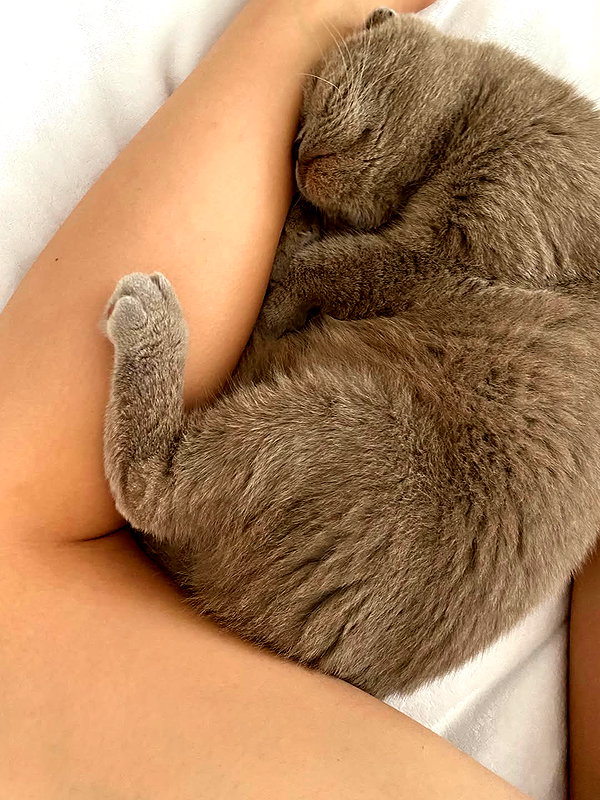 noa_zemlyanski instagram image archive image