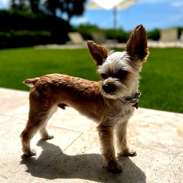 lilbieber instagram image archive image