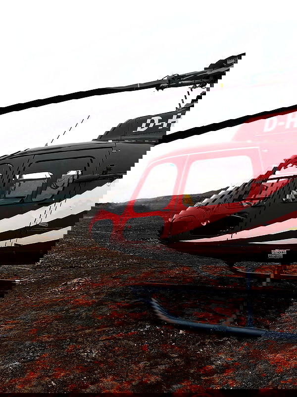 taylor.creeden taylor.creeden archive image