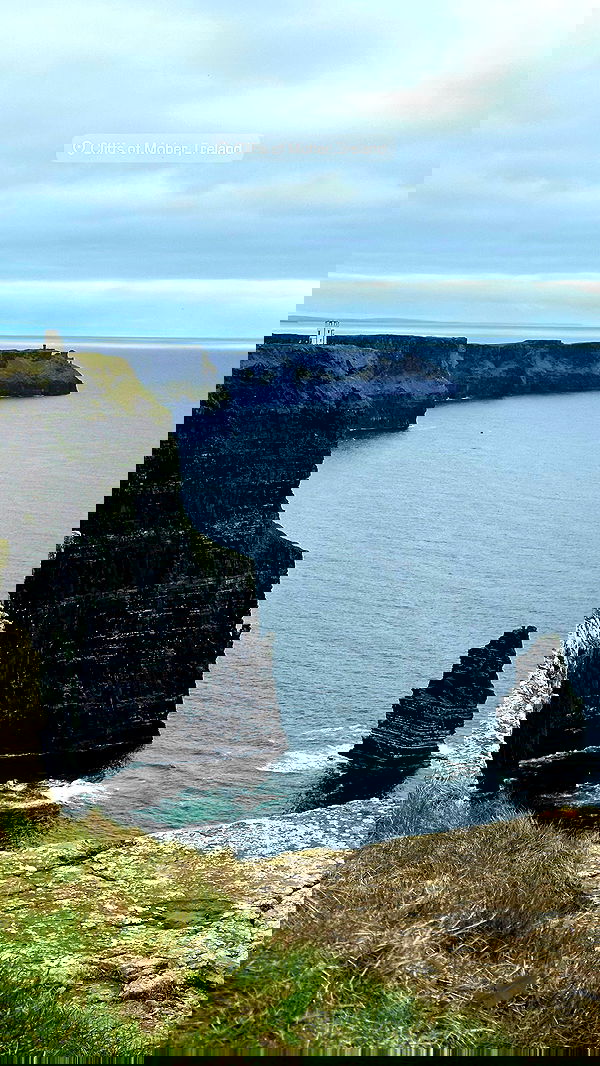 taylor.creeden taylor.creeden archive image