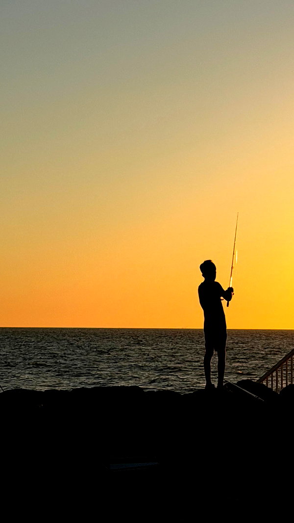 tairmar instagram image archive image