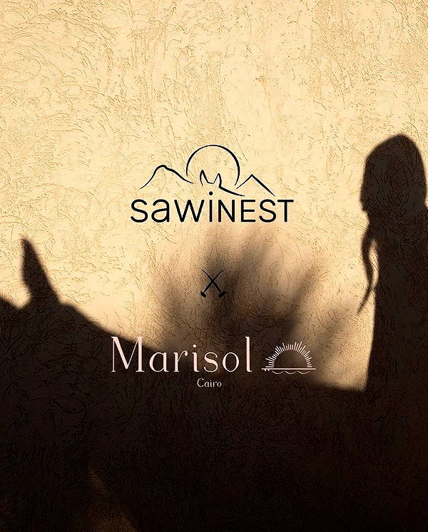 levsave instagram image archive image